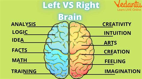 left brain rapper|right brain characteristics.